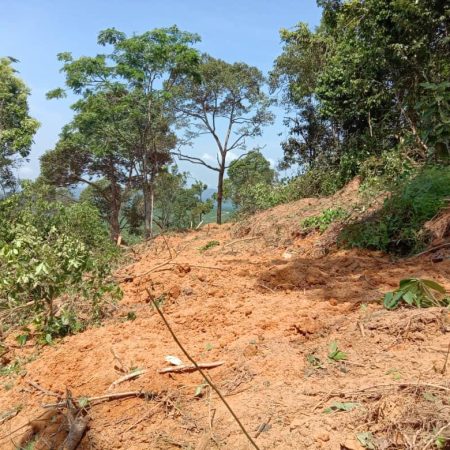 march 2020 - Durian Farm Project Progress (5)